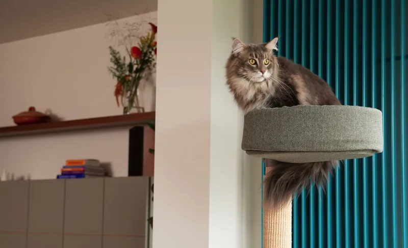 Fantail Cat Climb krabpaal staand model - design krabpalen van Fantail bij Bopets