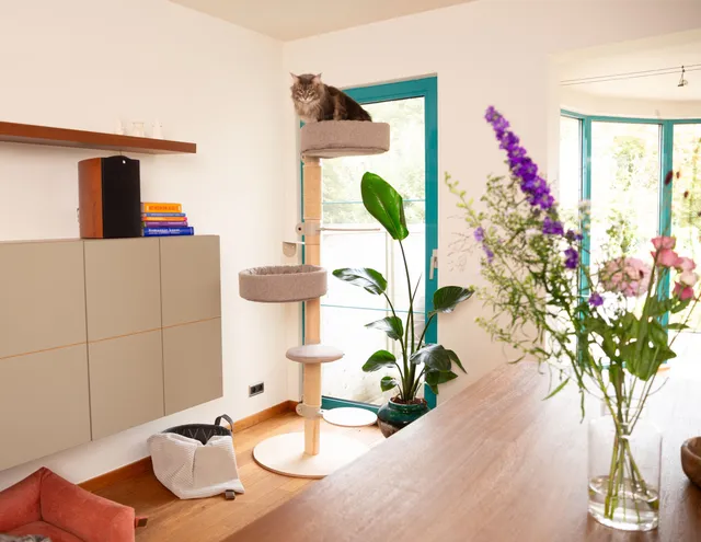 Fantail Cat Climb krabpaal - stijlvol Belgisch design krabmeubel in modern interieur bij Bopets