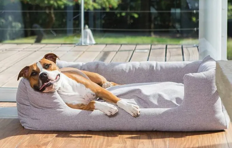 Fantail hondenmand Snooze in living - orthopedische hondenmand van Fantail bij Bopets