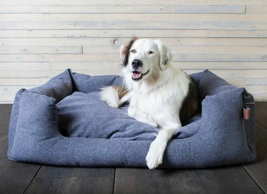 Fantail Snooze hondenmand Cosmic Blue - orthopedische hondenmand met Memory Foam en wasbare hoes