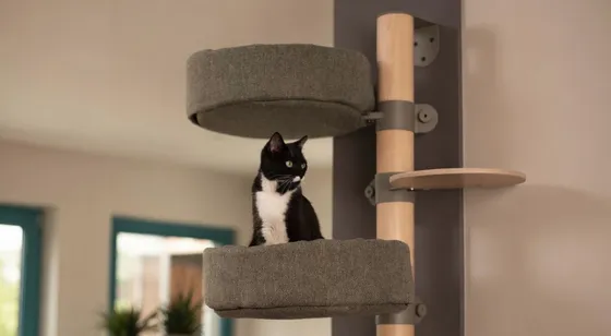 Fantail Cat Climb krabpaal - moduleerbare designkrabpaal van beukenhout en sisal bij Bopets
