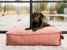 Fantail Stargaze hondenmatras Cosmic Blue, platte matrasvorm orthopedisch schuim