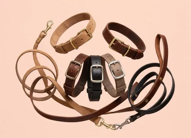 Halsband en leiband voor honden - veilig uitlaten bij Bopets