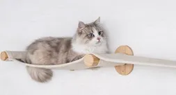 RHR krabpaal grote katten met klimmuur - wandgemonteerde kat klimmuur